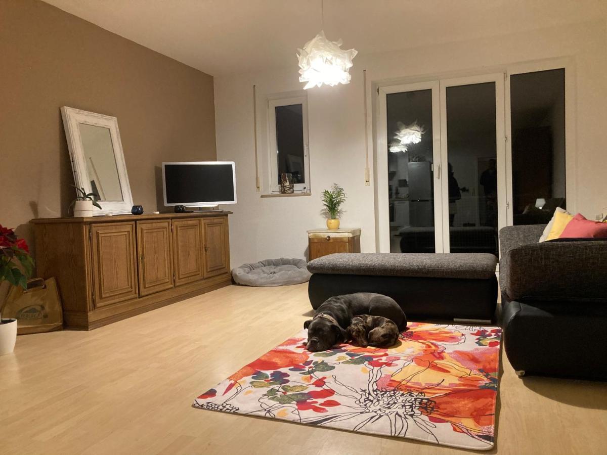 3 Zi Wohnung Haustiere Willkommen Im Markgraeflerland Dreilaendereck 슐링겐 외부 사진